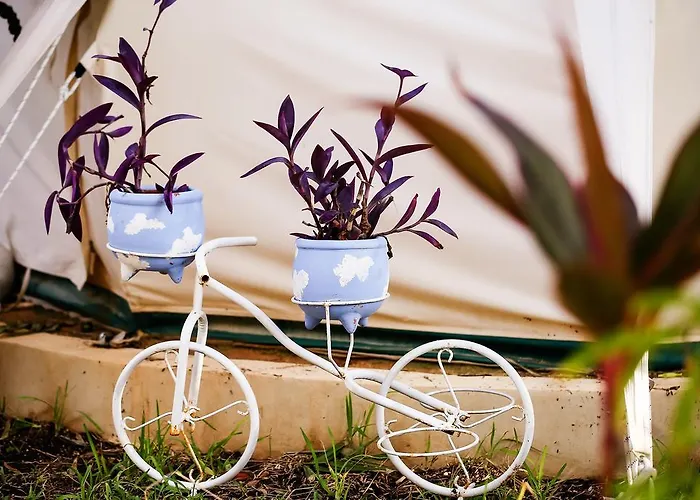 Hotel Harmony Glamping Boutique And Yoga