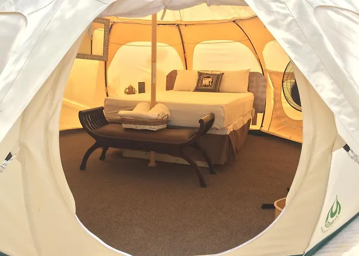 Harmony Glamping Boutique And Yoga Hotel